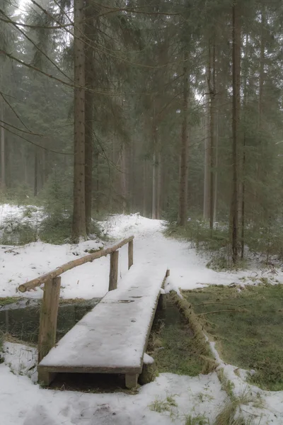 Γέφυρα δάσος το χειμώνα — Φωτογραφία Αρχείου