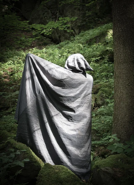 Witch in a forest — Stock Photo, Image