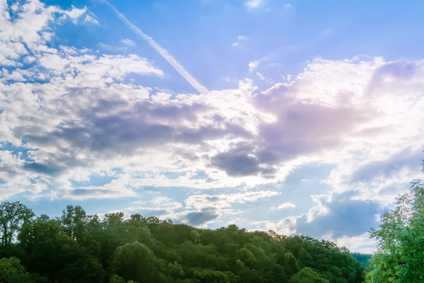 Paesaggio forestale con cielo blu — Foto Stock