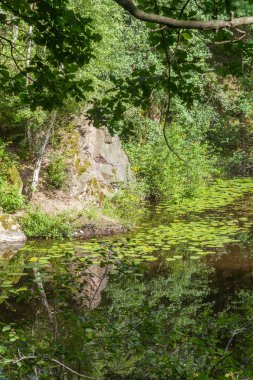 Orman Gölü yaz aylarında