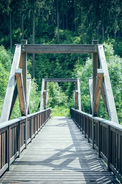 Ξύλινη γέφυρα στο δάσος — Φωτογραφία Αρχείου