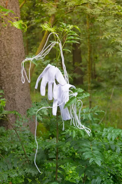 Guantes blancos con collar en un bosque — Foto de Stock
