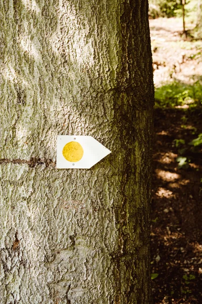 Marqueur de sentier de randonnée sur un tronc d'arbre — Photo