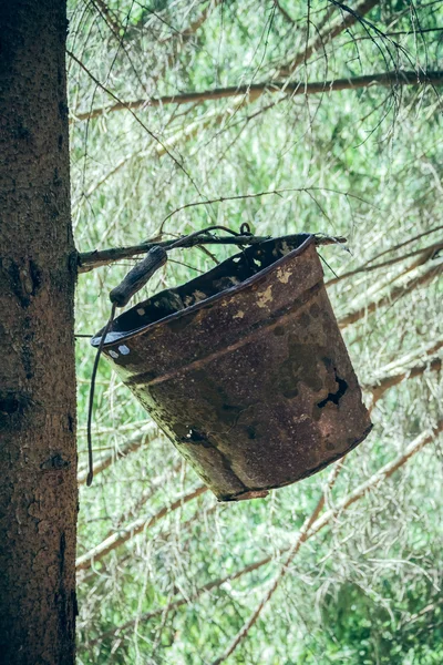 Old metal bucket on a branch — Stock Photo, Image