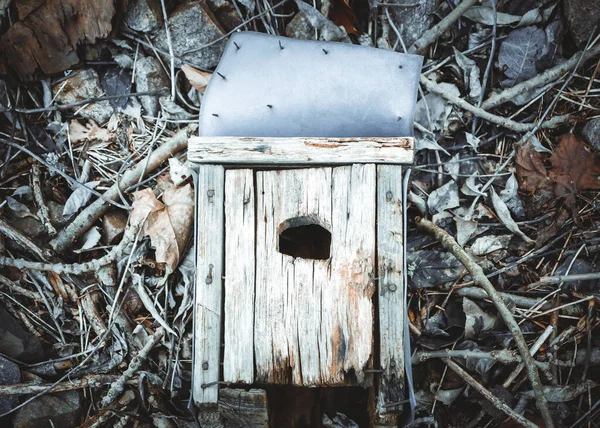 Una Vieja Casa Pájaros Naturaleza Suelo — Foto de Stock