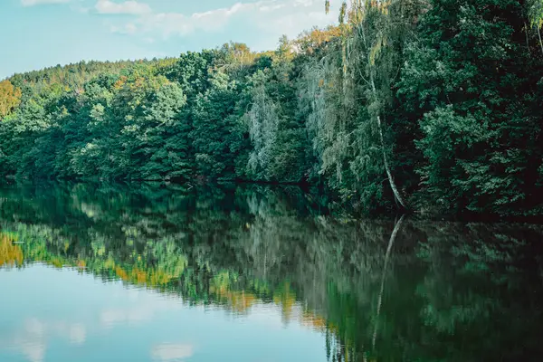 Leśne Jezioro Odbiciem Lecie — Zdjęcie stockowe