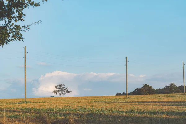 Podzimní Krajina Modrou Oblohou Polem Říjnu — Stock fotografie