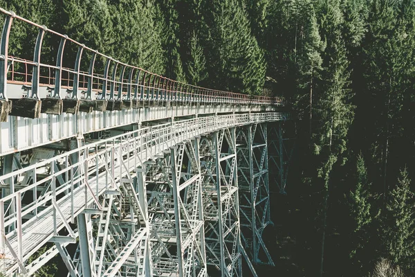 Άποψη Μιας Υψηλής Σιδηροδρομικής Γέφυρας Στο Δάσος — Φωτογραφία Αρχείου
