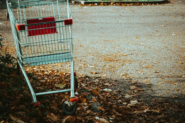 Single Shopping Cart Nature — Stock Photo, Image