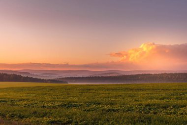 Orman manzarası üzerinde güzel turuncu gün batımı