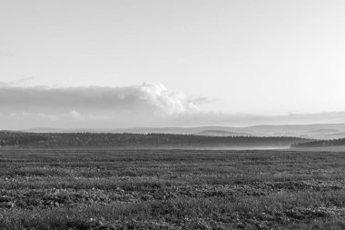 Orman manzarası üzerinde gün batımı siyah ve beyaz resim gibi