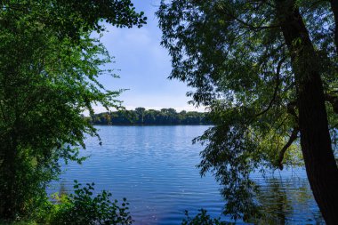 Cennet yazında gölün önündeki ağaçlar
