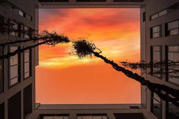 Belső Sarkában Irodaház Nézett Alacsony Szögből Narancssárga Szürkületi Tükröződik Ablakok — Stock Fotó