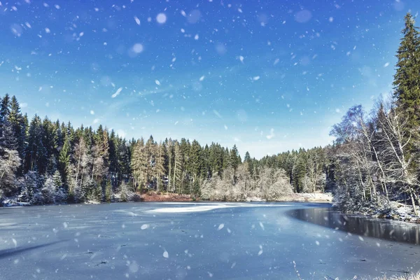 Un idilliaco lago forestale in inverno — Foto Stock