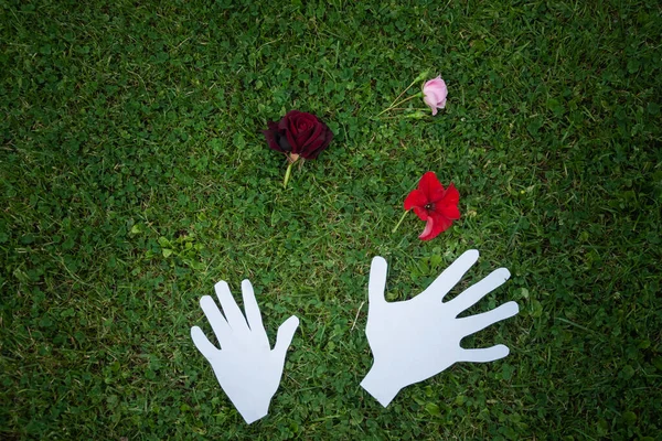 Papieren Handen Met Bloemen Een Weide Zomer — Stockfoto