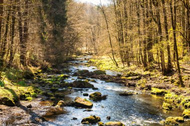 Nehir yeşil yosunlu kayaların etrafında akıyor