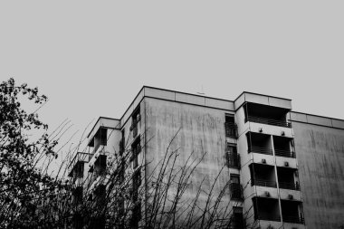 Siyah beyaz bir apartman bloğu ve ön planda bir ağaç.