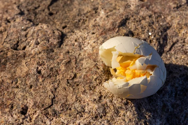 Hard boiled cracked open to show the yolk lying outdoors in the sunshine on a rock in a concept of a healthy diet and outdoor lifestyle