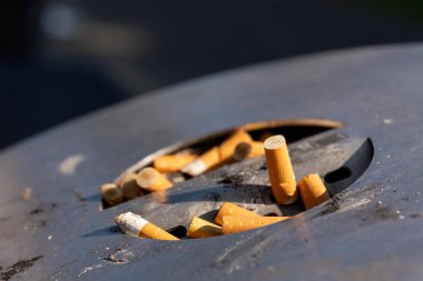 Çöpe atılmış sigara izmaritleri veya sigara izmaritleriyle dolu kül tablası sigara içme, sağlıksız alışkanlıklar ve bağımlılık konseptiyle çevrili.