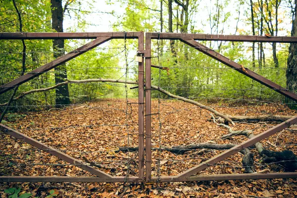 Закриті ворота на лісовій доріжці — стокове фото