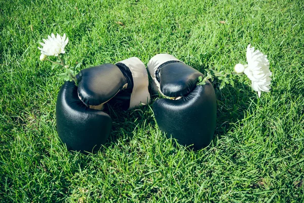 Rękawice bokserskie na łące — Zdjęcie stockowe