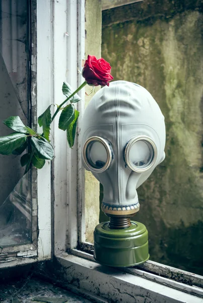 Gas Mask with Rose — Stock Photo, Image