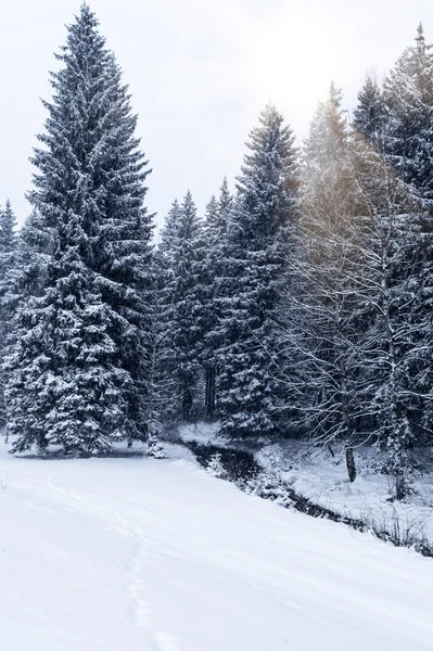 Flusso nel paesaggio invernale — Foto Stock