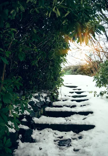 Passos de pedra no inverno — Fotografia de Stock