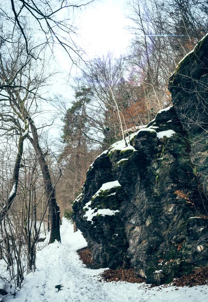 Skały w zimie — Zdjęcie stockowe