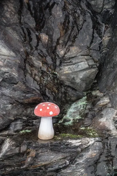 Décoration de champignons — Photo