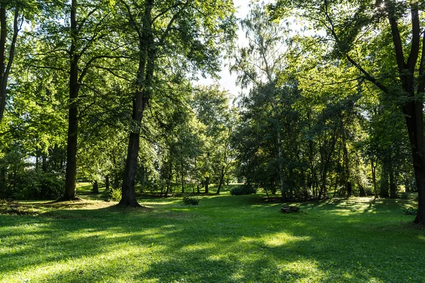 Şehir Parkı çayır