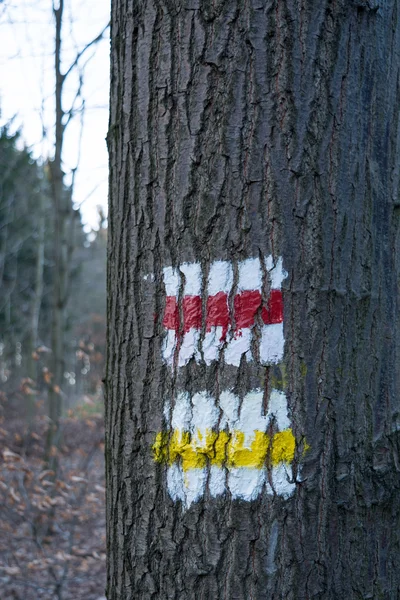 Marcação do tronco da árvore — Fotografia de Stock