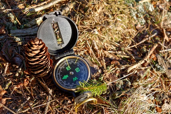Kompass im Wald — Stockfoto