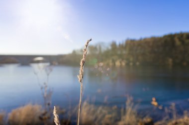 çimen önünde bir göl
