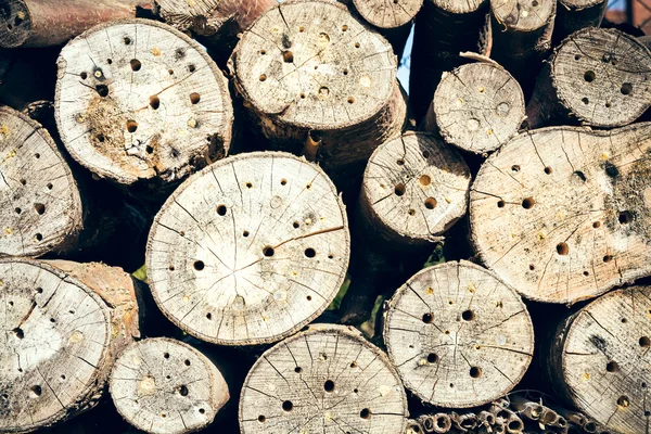 Insect Hotel — Stock Photo, Image