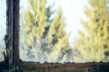 cam kırık bölmesi