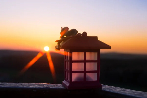 Laterne im Sonnenuntergang — Stockfoto