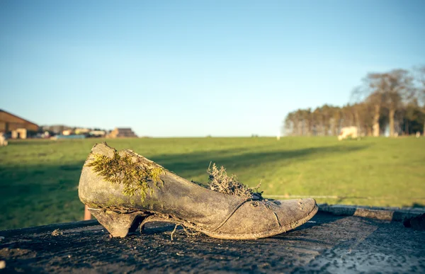 Zchátralé boty — Stock fotografie