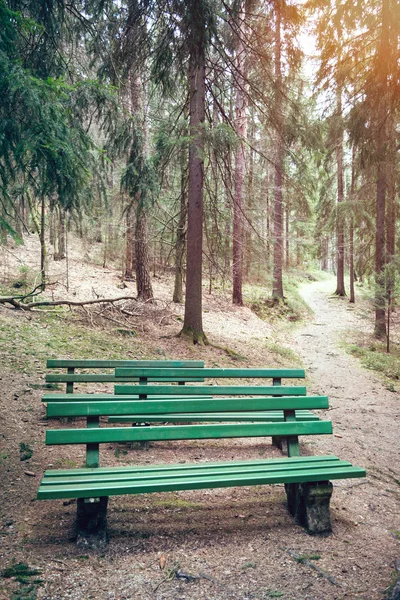 Asientos en el bosque — Foto de Stock