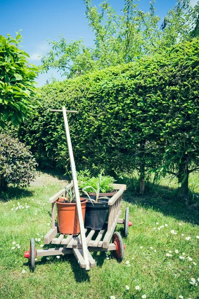 Handcart met bloempot — Stockfoto