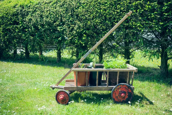 Handcart with flowerpot — Stock Photo, Image