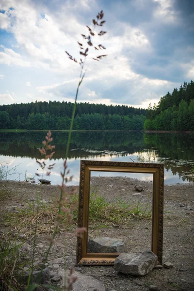 De aard in het beeld — Stockfoto