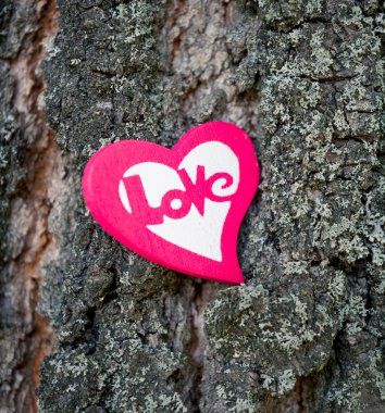 ağaç üzerinde kalp