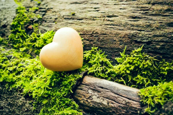 Naturaleza amor — Foto de Stock