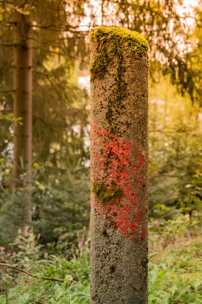 Stará silnice dělicí prvek dvěma — Stock fotografie