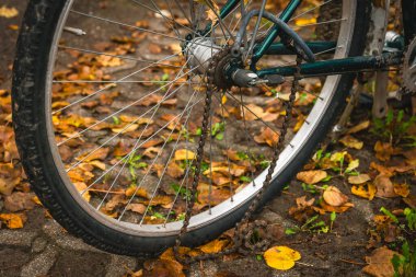 Bir bisiklet tekerleği kısmen canlı sonbahar yapraklarıyla kaplıdır, kırsal bir toprak yolda dinlenir. Yaprakların altın renkleri, koyu tekerlekle çok güzel tezat oluşturuyor. Huzurlu bir anı yakalıyor..