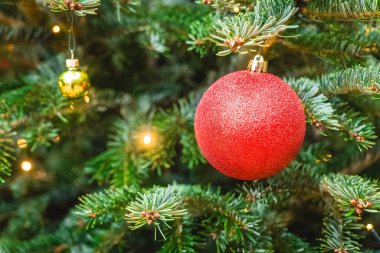 Canlı kırmızı bir süs, altın mücevherler ve parıldayan ışıklarla çevrili yemyeşil bir Noel ağacından zarif bir şekilde sarkıyor ve neşeli bir atmosfer yaratıyor..