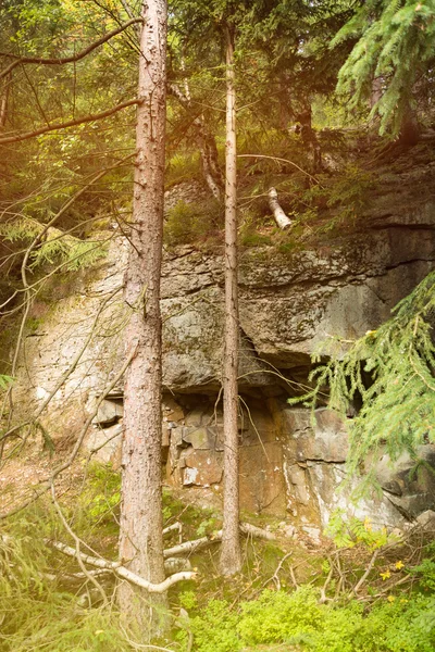 Rocce nella foresta — Foto Stock