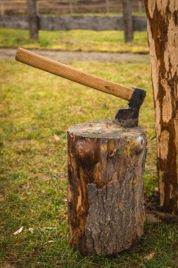 Keskin bir balta, yemyeşil çimlerle çevrili ahşap bir kütüğün üzerinde duruyor. Huzurlu sahne, huzurlu ve doğal bir ortamda zorlu bir çalışma gününü işaret ediyor..
