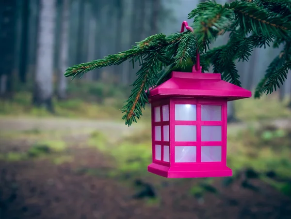 Lantern in the forest